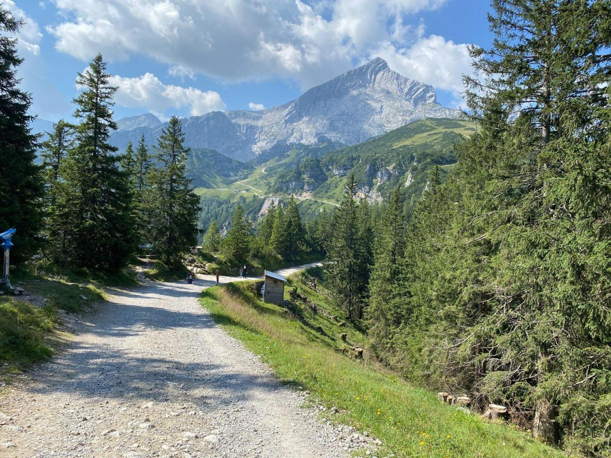 Trollenhof Im Allgaeu - Ferienwohnungen Saeuling Ruckholz Exterior foto